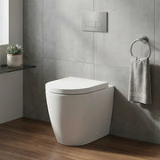 Aquila Rimless Back To Wall Toilet With Soft Close Seat