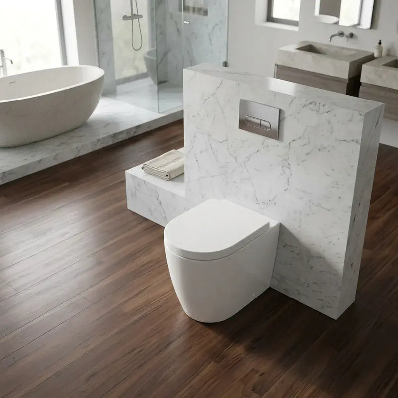 Aquila Rimless Back To Wall Toilet With Soft Close Seat
