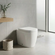 Aquila Rimless Back To Wall Toilet With Soft Close Seat