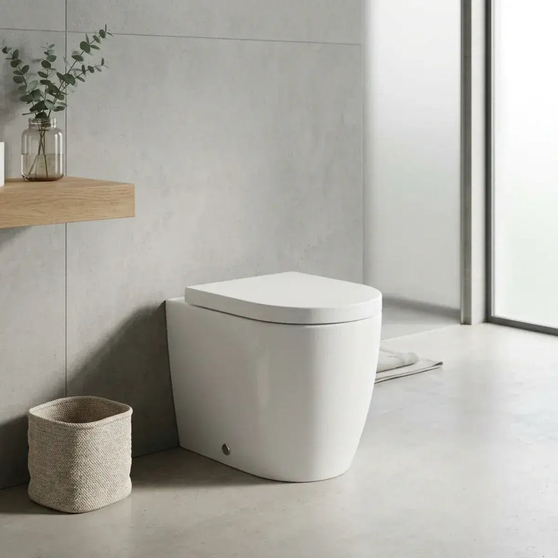 Aquila Rimless Back To Wall Toilet With Soft Close Seat