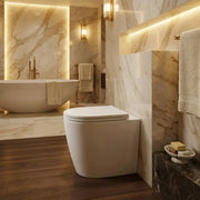 Aquila Rimless Back To Wall Toilet With Soft Close Seat
