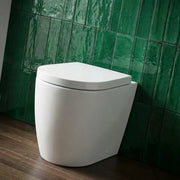 Aquila Rimless Back To Wall Toilet With Soft Close Seat, Comfort Height