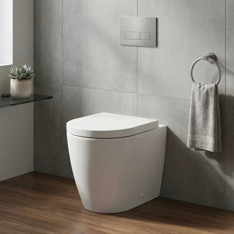 Aquila Rimless Back To Wall Toilet With Soft Close Seat, Comfort Height