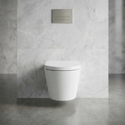 Aquila Rimless Wall Hung Toilet With Soft Close Seat