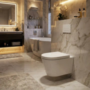 Aquila Rimless Wall Hung Toilet With Soft Close Seat