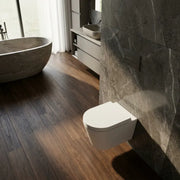 Aquila Rimless Wall Hung Toilet With Soft Close Seat