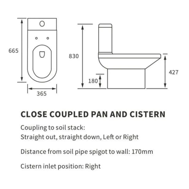 Black Freestanding Bath with Shower Mixer Taps, Basin Tap, Toilet and Pedestal Basin