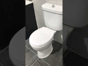 Icare Disabled Close Coupled Raised Height Toilet with Extra Long Pan & Soft Close Seat