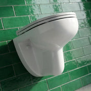 Icare Disabled Wall Hung Toilet Pan and Seat
