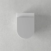 Icare Disabled Wall Hung Toilet Pan and Seat