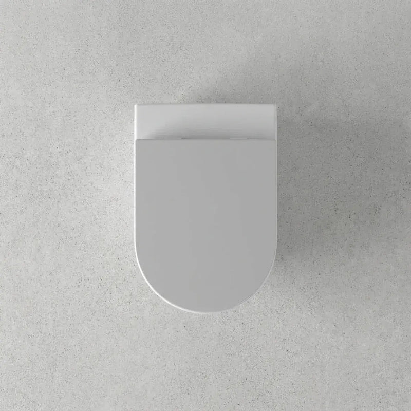 Icare Disabled Wall Hung Toilet Pan and Seat