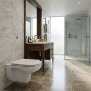 Icare Disabled Wall Hung Toilet Pan and Seat