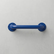 Icare Straight 300mm Grab Rail, Blue - Stainless Steel