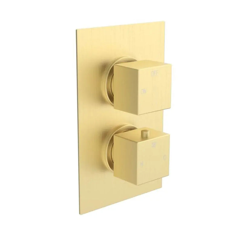 Land Square Concealed Shower Valve & Kit Pack 2 - Brushed Brass