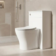 Lile Rimless Back To Wall Toilet With Soft Close Seat