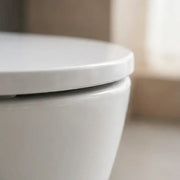 Lile Rimless Back To Wall Toilet With Soft Close Seat