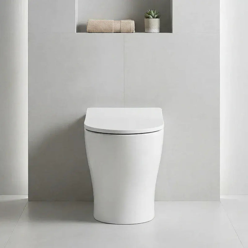 Lile Rimless Back To Wall Toilet With Soft Close Seat