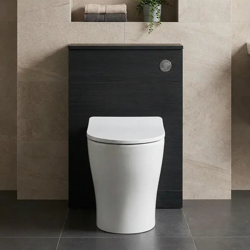 Lile Rimless Back To Wall Toilet With Soft Close Seat