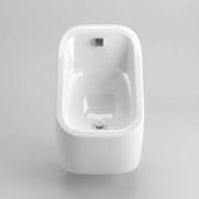 Modern Ceramic Urinal Bowl Only - For Exposed or Concealed Pipework