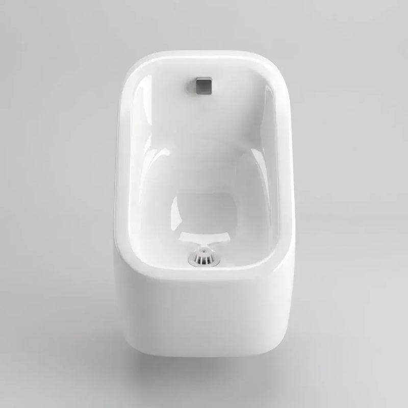 Modern Ceramic Urinal Bowl Only - For Exposed or Concealed Pipework