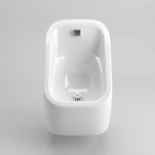 Modern Ceramic Urinal Bowl Only - For Exposed or Concealed Pipework