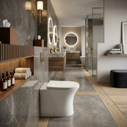 Parum Back To Wall Toilet With Soft Close Seat