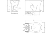 Parum, Rimless Close Coupled Toilet with Soft Close Seat, Fully Shrouded