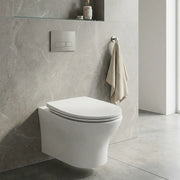 Parum Rimless Wall Hung Toilet With Soft Close Seat