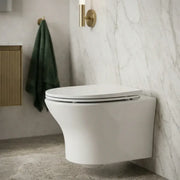Parum Rimless Wall Hung Toilet With Soft Close Seat