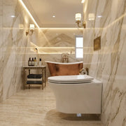Parum Rimless Wall Hung Toilet With Soft Close Seat