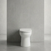Serpens Rimless Back To Wall Toilet Inc Soft Close Seat