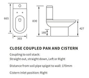 Serpens Rimless Toilet with Optional Colour WC Push Button
