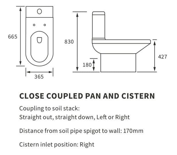 Serpens Rimless Toilet with Optional Colour WC Push Button