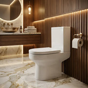Serpens Rimless Toilet with Optional Colour WC Push Button