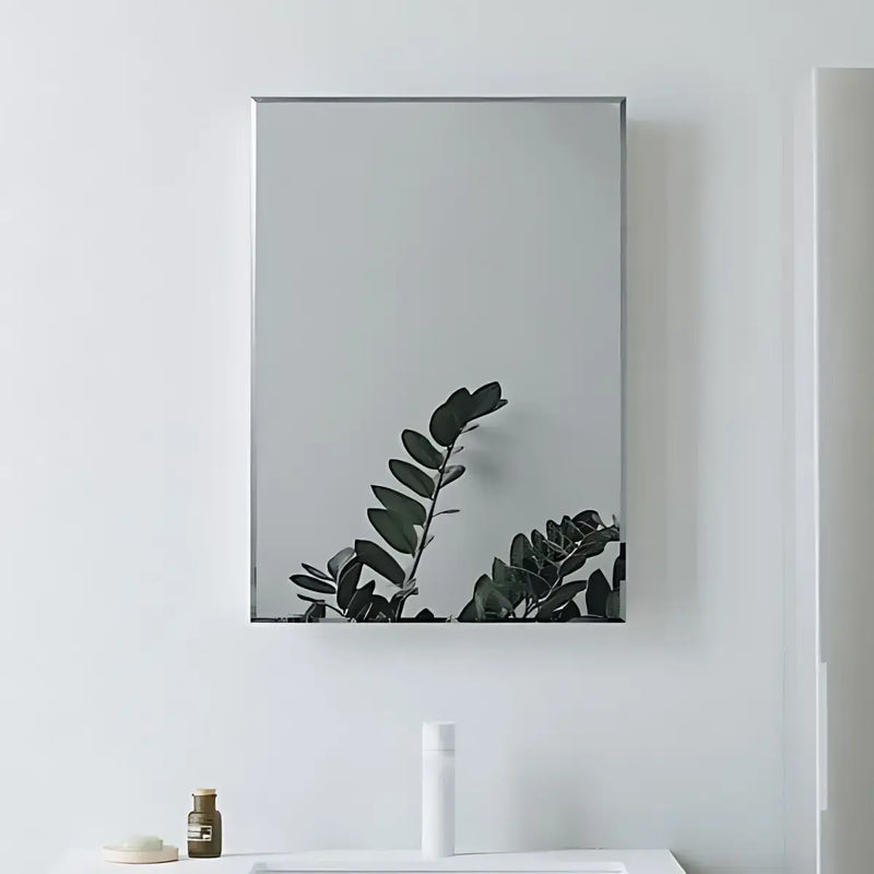 Soler 400x600mm Rectangle Mirror