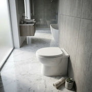 Tengri Back To Wall Toilet Inc Soft Close Seat