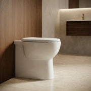 Tengri Back To Wall Toilet Inc Soft Close Seat