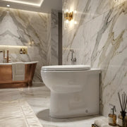 Tengri Back To Wall Toilet Inc Soft Close Seat