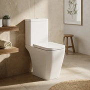 Vegar Rimless Close Coupled Toilet, Rimless, Short Projection, Open Back