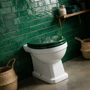 Victorian Style Back To Wall Toilet With Sea Green Soft Close Seat