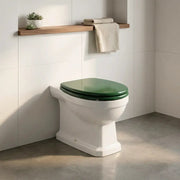 Victorian Style Back To Wall Toilet With Sea Green Soft Close Seat