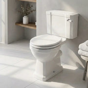 Victorian Style Close Coupled Toilet With Satin White Soft Close Seat