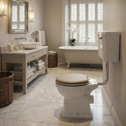 Victorian Style Low Level Toilet with Matt Latte Soft Close Seat
