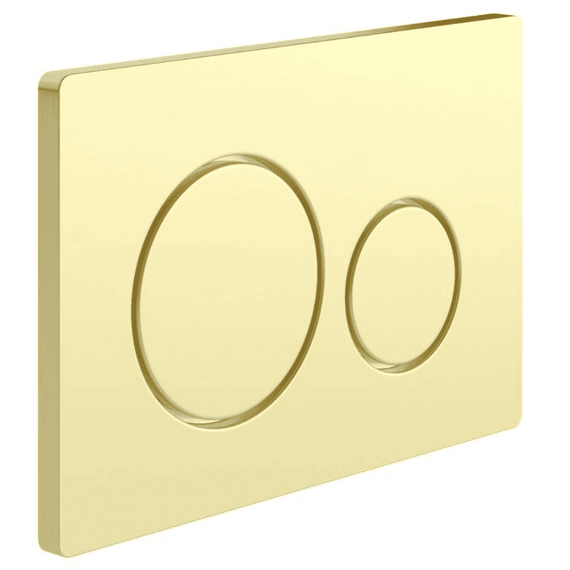 Wall Hung 1.1m Toilet Frame and Cistern inc Round Flushplate